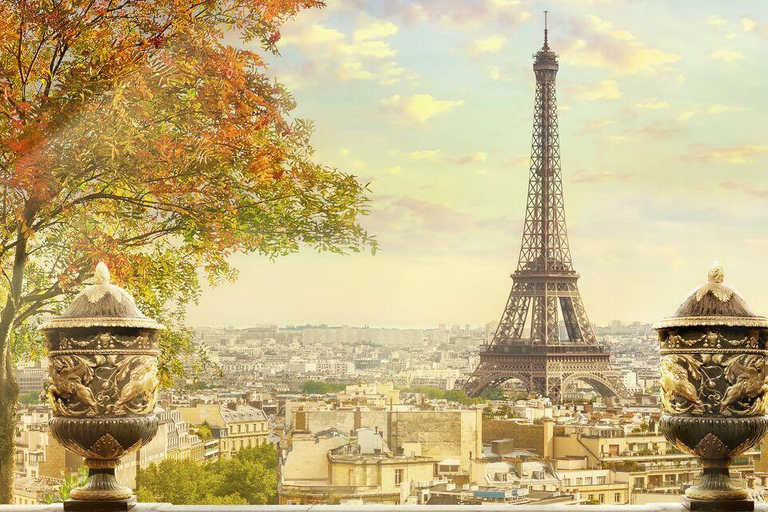 Paryż: Prywatny transfer z lotniska CDG do miasta Paryż