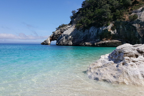 Cala Gonone: Gulf of Orosei Catamaran Cruise with Aperitif