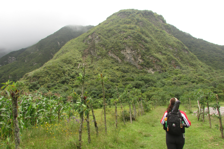 Pululahua Volcano Sightseeing Tour