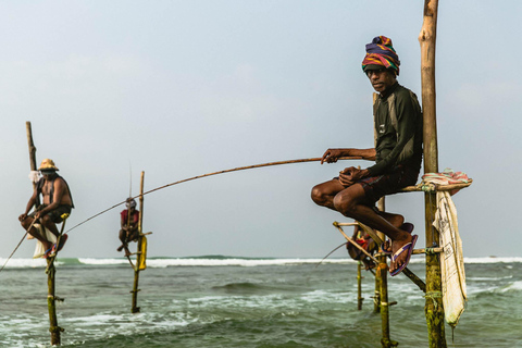 Sri Lanaka : 2-tägige Tour mit Hikkaduwa / Galle / Yala