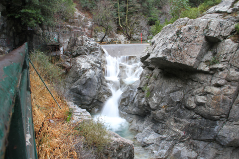 Depuis Athènes : voyage en train avec visite guidée du mont Olympe