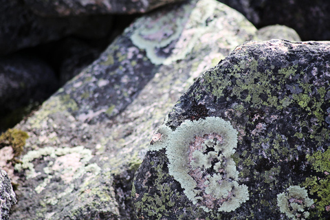 Rovaniemi: Övertorneå e a colina Aavasaksa. História e natureza