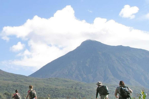 3 Day Rwanda Gorilla and Golden Monkey Trekking Tour