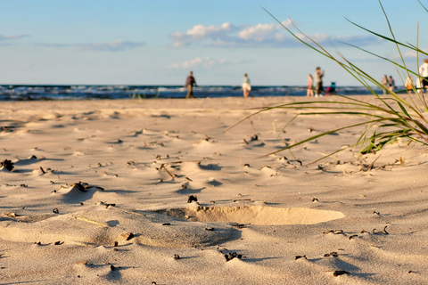 Ķemeri Great Bog With Optional Sunrise & Jūrmala Visit Ķemeri Bog Shared Small Group Tour