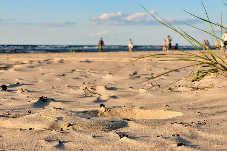 Ķemeri Great Bog With Optional Sunrise & Jūrmala Visit Ķemeri Bog Shared Small Group Tour