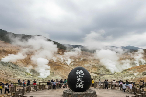 Tokyo:Hakone Private Day Tour With Lake Ashi & Mt Fuji views