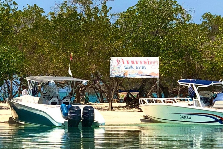 Playa Agua Azul (tour de dia completo todo incluido)