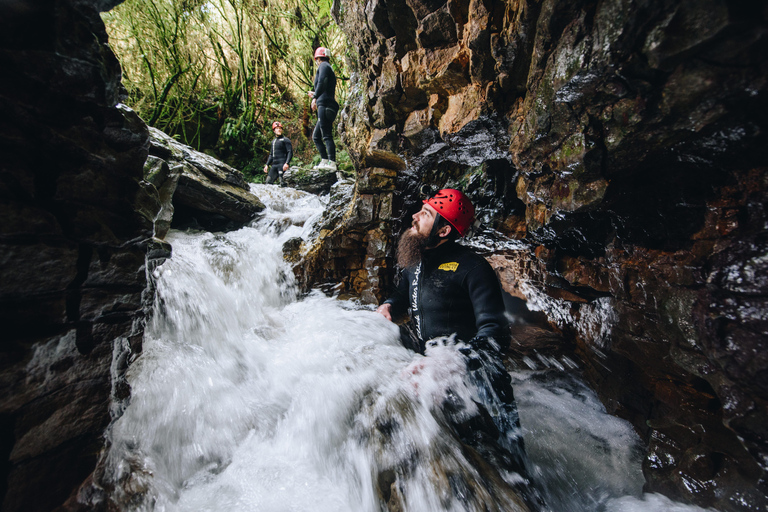 Från Auckland: Waitomo Caves Black Abyss Adventure Tour