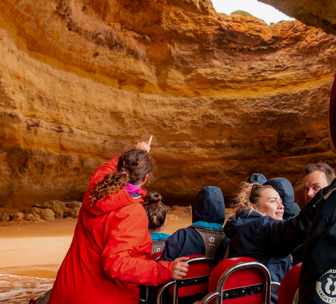 Excursions à la journée