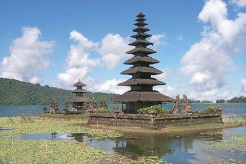 Bali: privétour Lovina-strand en Bedugul-berg