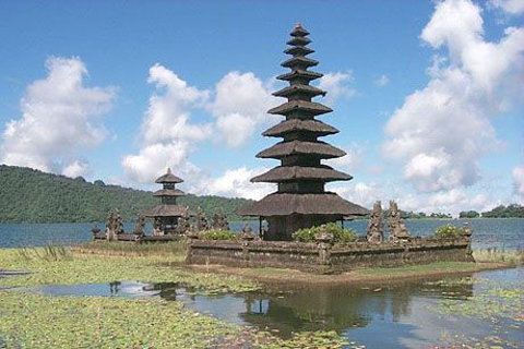 Bali: Privattour zum Strand von Lovina und nach Bedugul