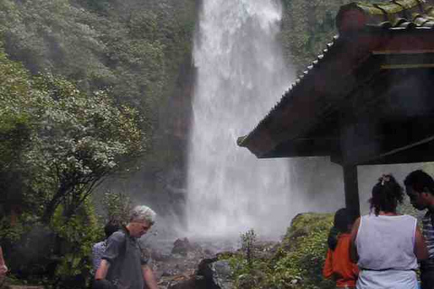 Bali: visite privée de la plage de Lovina et de la montagne Bedugul