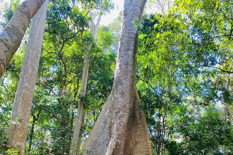 2 dagars tur Dalat till Cat Tien nationalpark, avlämning Saigon