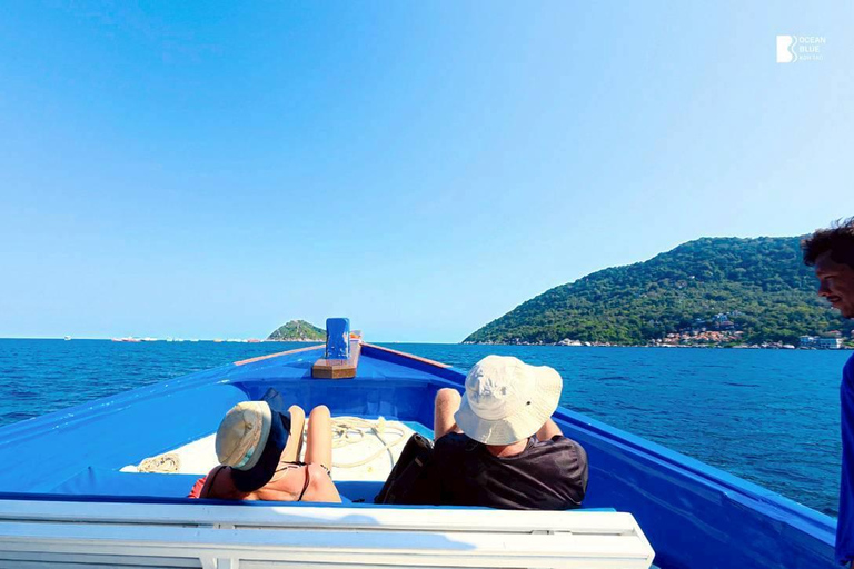 Koh Tao: Snorkel with Turtles at Nangyuan with Fewer Crowds