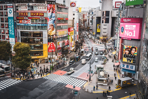 Tokyo: Private Tuk-Tuk Tour with Driver and Photos
