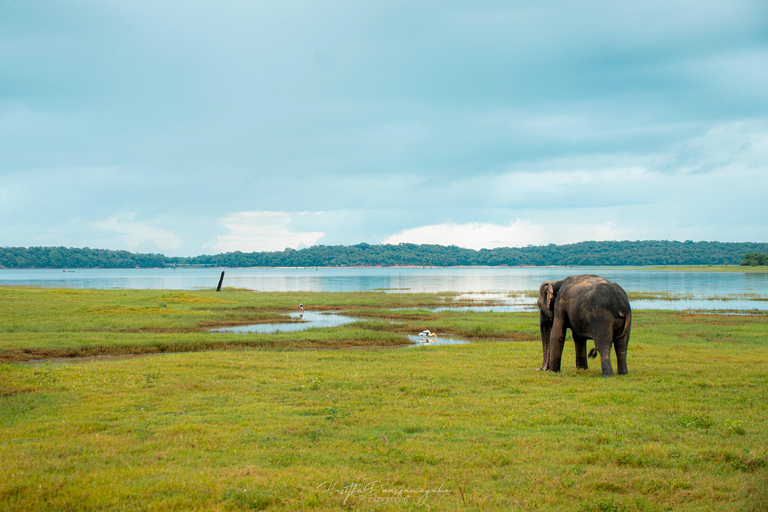 Sigiriya Rock Hike, Village Cookery Experience & Wild Safari