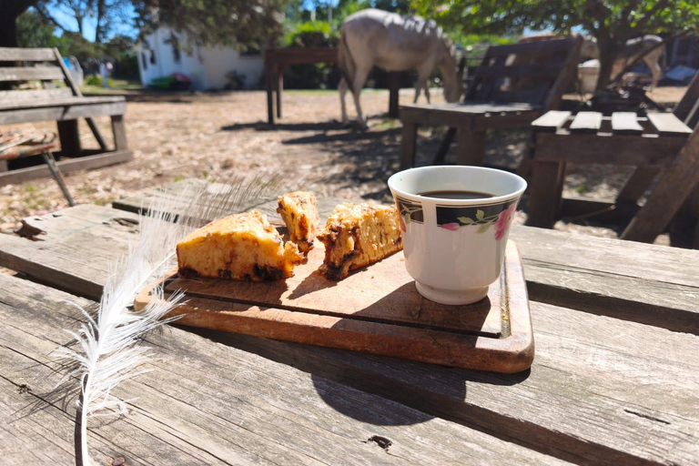 Lunch at Chacra de Montevideo: nature and flavors from around the world