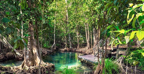 Punta Cana: Los Haitises Park, Horseback Ride & Lunch Tour