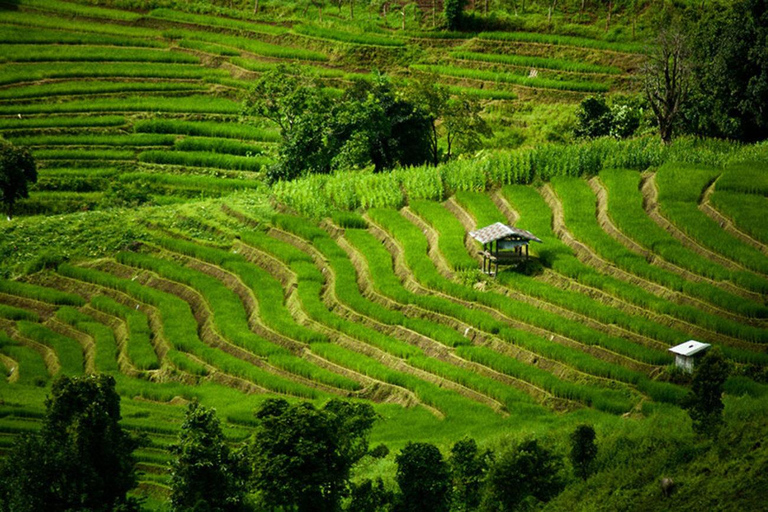 Doi Inthanon, Pa Bong Piang & Royal Project Tour
