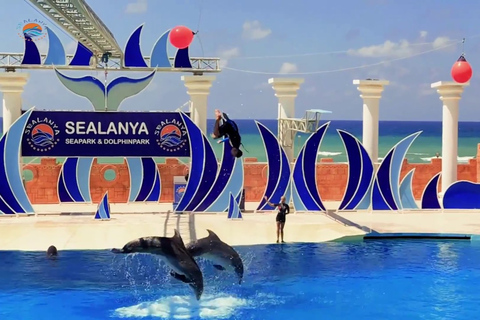 Excursión al Espectáculo de los Delfines de Alanya - Parque de los Delfines de Sealanya