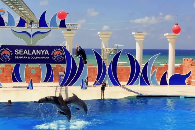 Alanya Dolphin Show Tour - Sealanya Dolphinpark