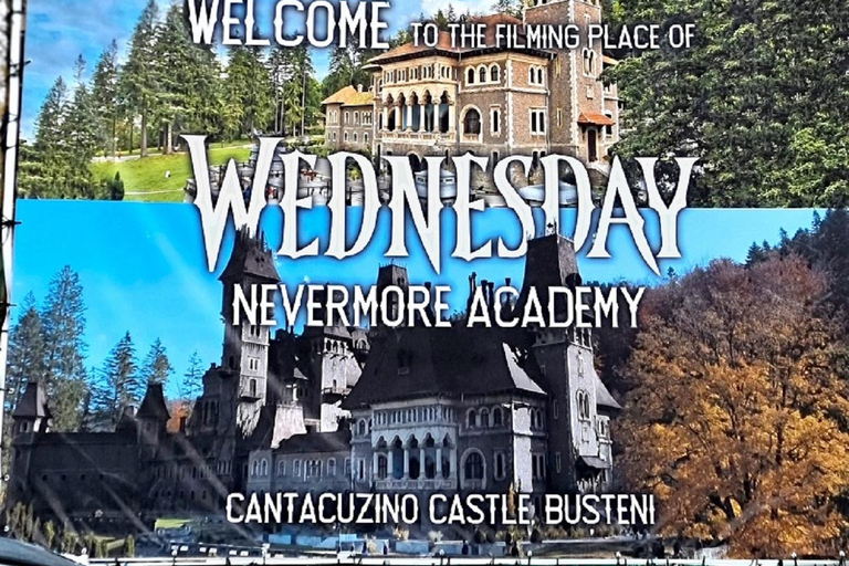 MINIVAN Dracula Castle, Peleș Castle & Wednesday 3 CASTLES Audio Guide 24 Languages