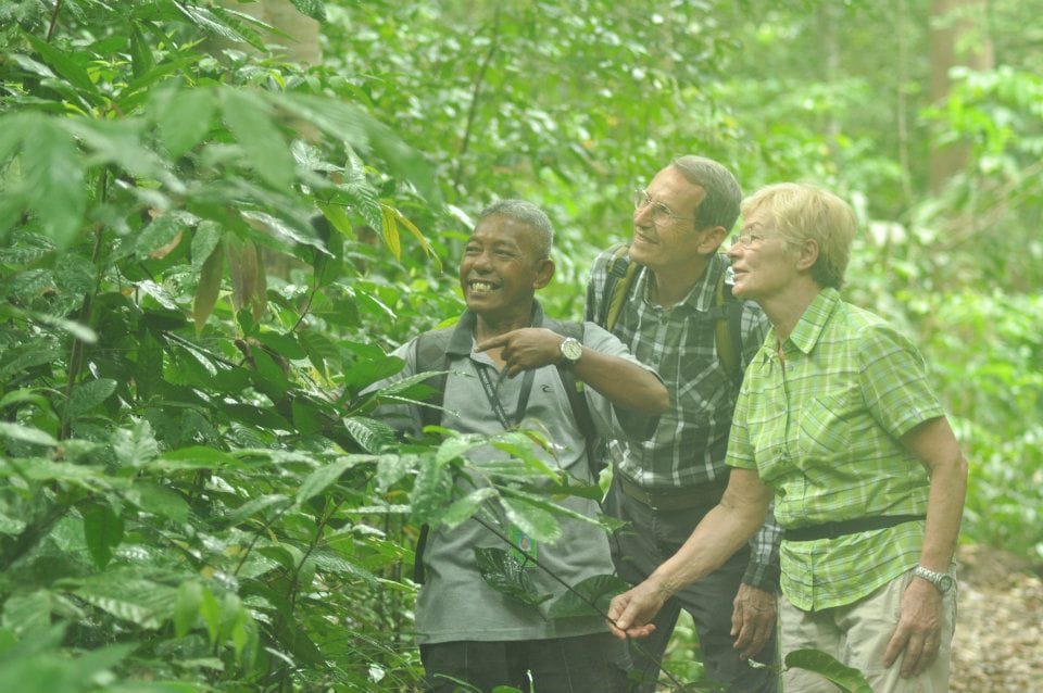 Jungle Trekking