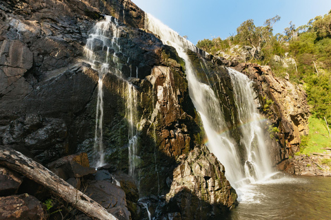 Desde Melbourne: Excursión en grupo al Parque Nacional de los Grampians