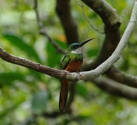 Колониальные пляжи Северного побережья - тур на целый день - Housity