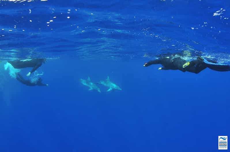 Scuba Diving for Beginners and Snorkeling GetYourGuide