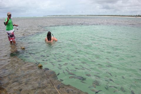 Porto Galinhas Full Day Tour Group Tour in Spanish