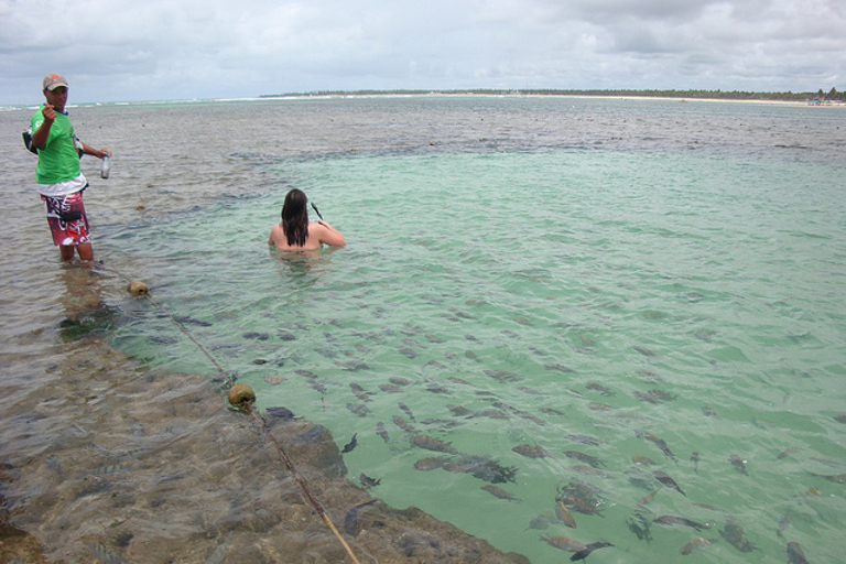 Porto Galinhas Full Day Tour Group Tour in Portuguese