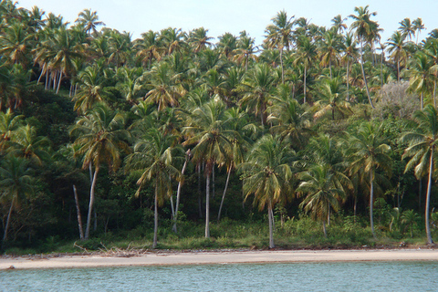 Porto Galinhas Full Day TourGroup Tour in Portuguese