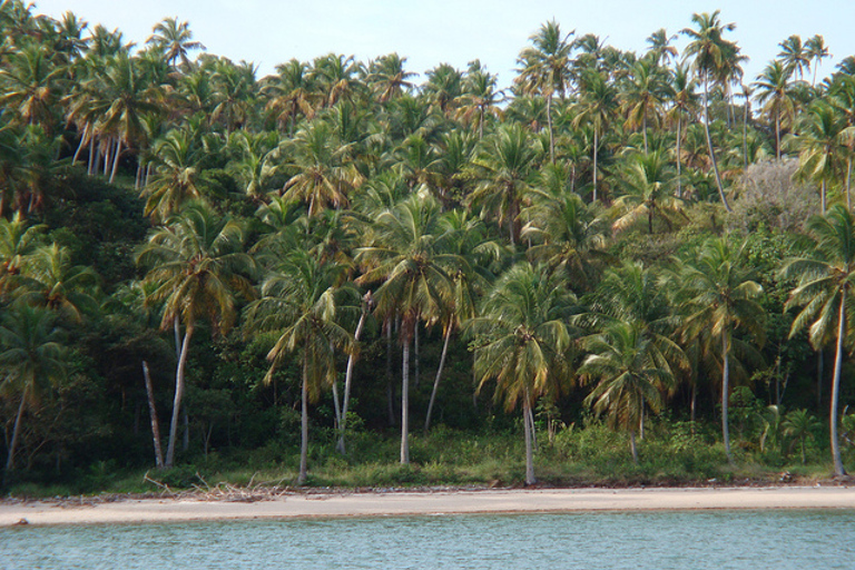 Porto Galinhas Dagvullende TourGroepsrondleiding in het Portugees