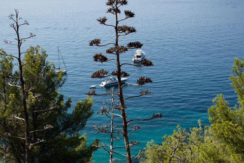 Split: City Sightseeing Hop-On Hop-Off Bus Tour & Extras 24-Hour Ticket