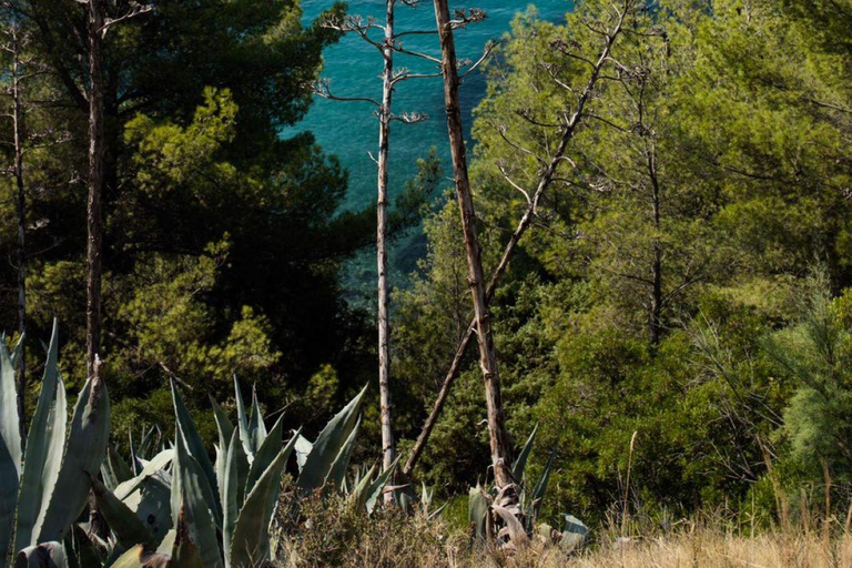 Split: City Sightseeing Hop-On Hop-Off Bus Tour & Extras 24-Hour Ticket