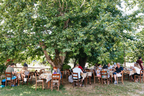 Vanuit Chania: dagtour naar Elafonisi EilandOphalen tussen Platanias - Chania