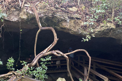 Freeport: Grand Bahama Culture, History & Local Flavors Tour Grand Bahama: City Tour with Tastings and Local Guide