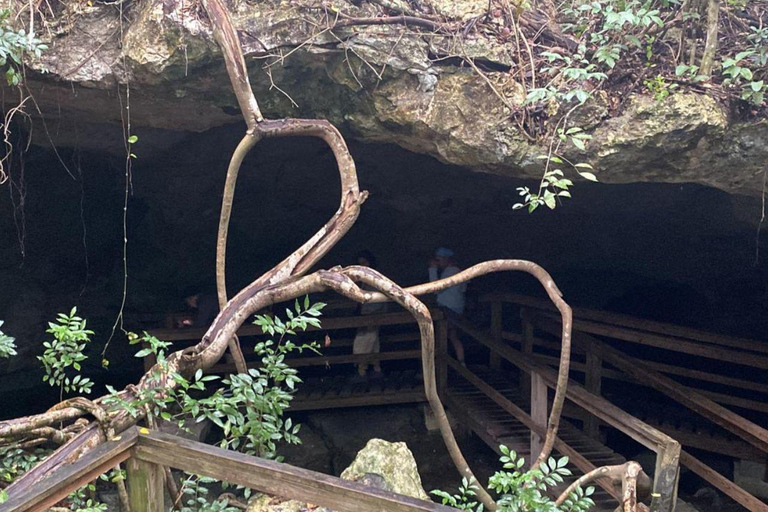 Freeport: Grand Bahama Culture, History & Local Flavors Tour Grand Bahama: City Tour with Tastings and Local Guide