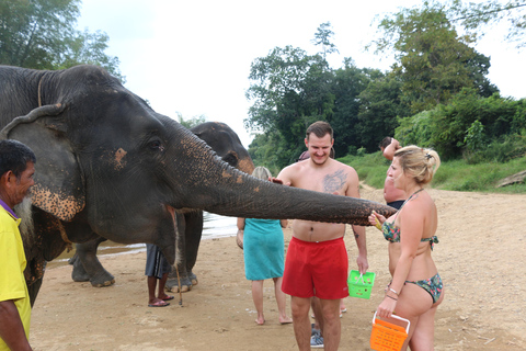 Khao Lak: Tagestour zum Elefantenbaden und Bambus-Rafting