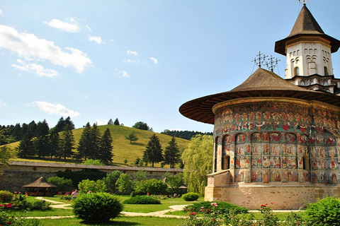 Bucharest: 8-Day Transylvania & Moldavian Monasteries Tour