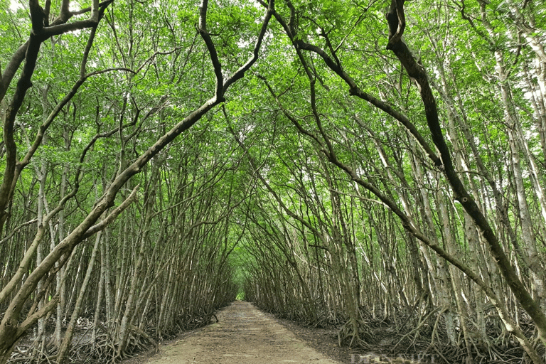 Ho Chi Minh: Explore the mangrove Can Gio forest full day