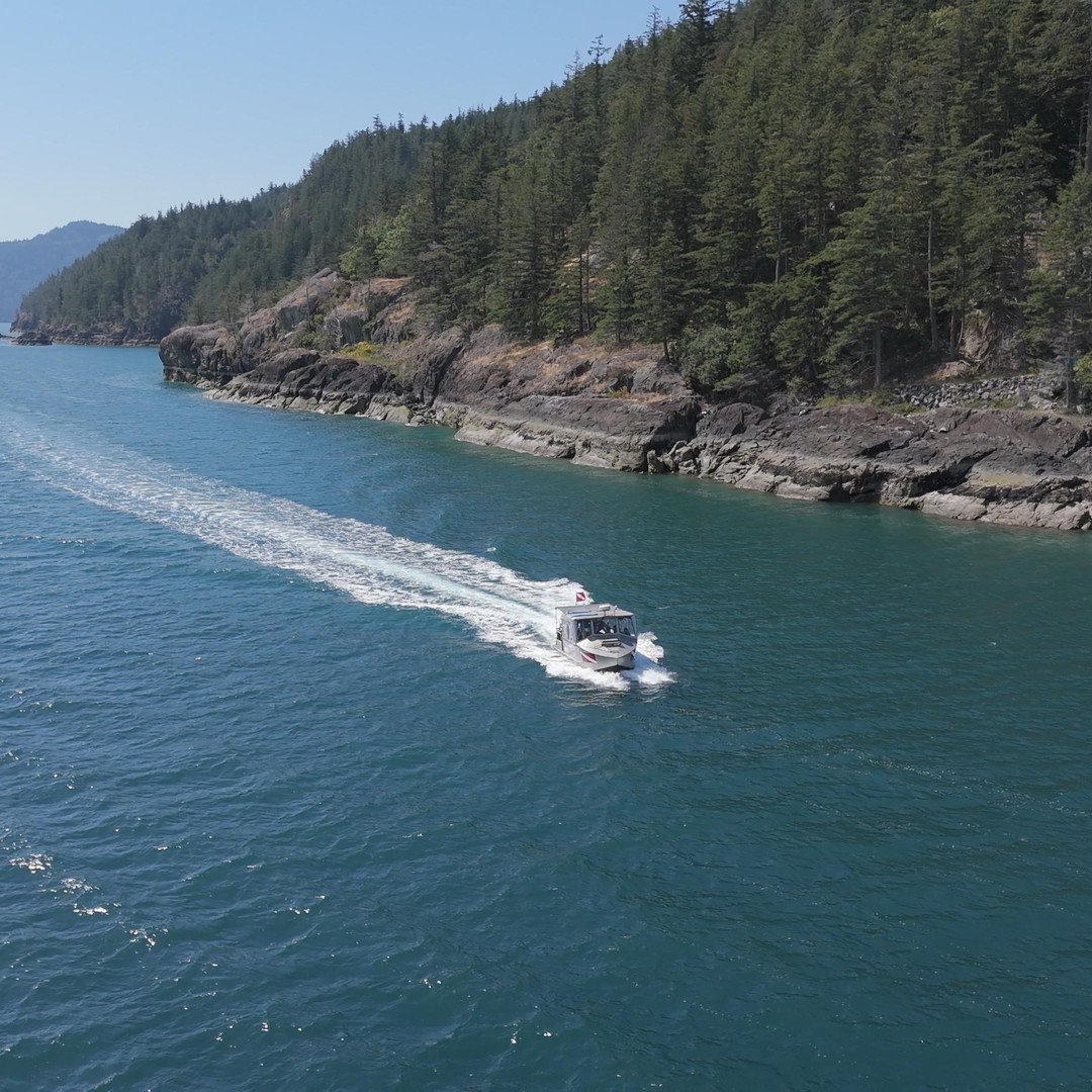Vancouver Boat Rides Vancouver UNESCO Biosphere Reserve Wildlife Scenic Boat Tour | GetYourGuide