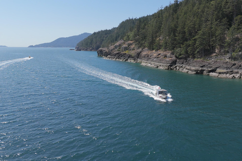 Vancouver: Howe Sound Wildlife and Scenery Boat Tour