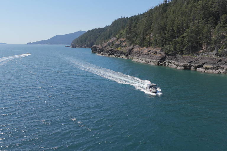 Vancouver: Howe Sound Wildlife and Scenery Boat Tour