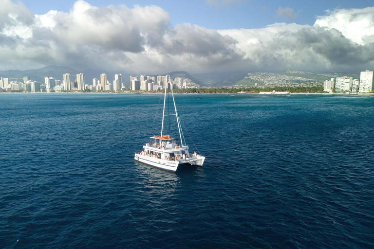 وايكيكي: تجربة الغوص مع السلاحف