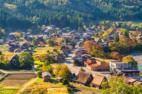 Excursión de un día de Nagoya a Hida Takayama y al pueblo de Shirakawa-go