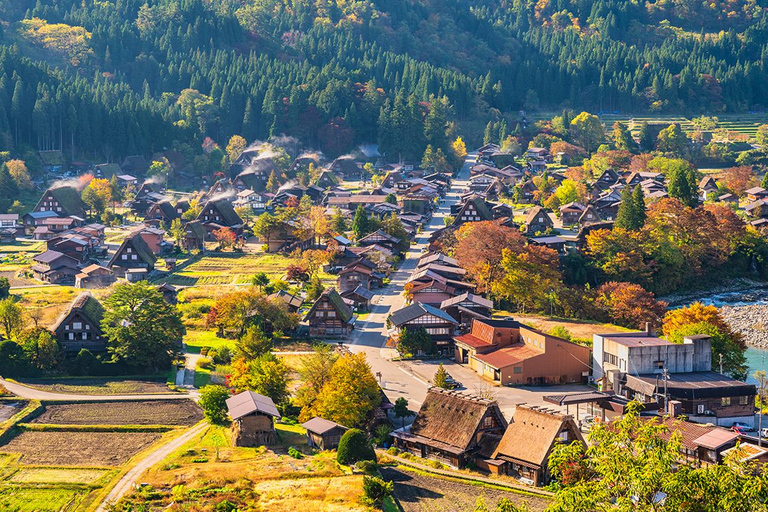 Tour di un giorno da Nagoya a Hida Takayama e al villaggio di Shirakawa-go