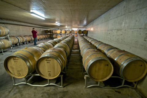 Etna Quad & Wine Combo Private Tour 1 Quad Per Person