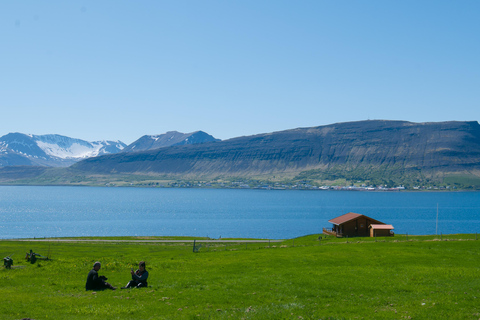 Isafjordur: Dynjandi Waterfall & Horse-Farm Tour in German Isafjordur: Dynjandi Waterfall Tour & Farm Visit in German